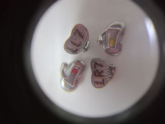 Handmatige voedingsbron Orthodontische materialen Buikbuis voor tandheelkundige verbruiksartikelen